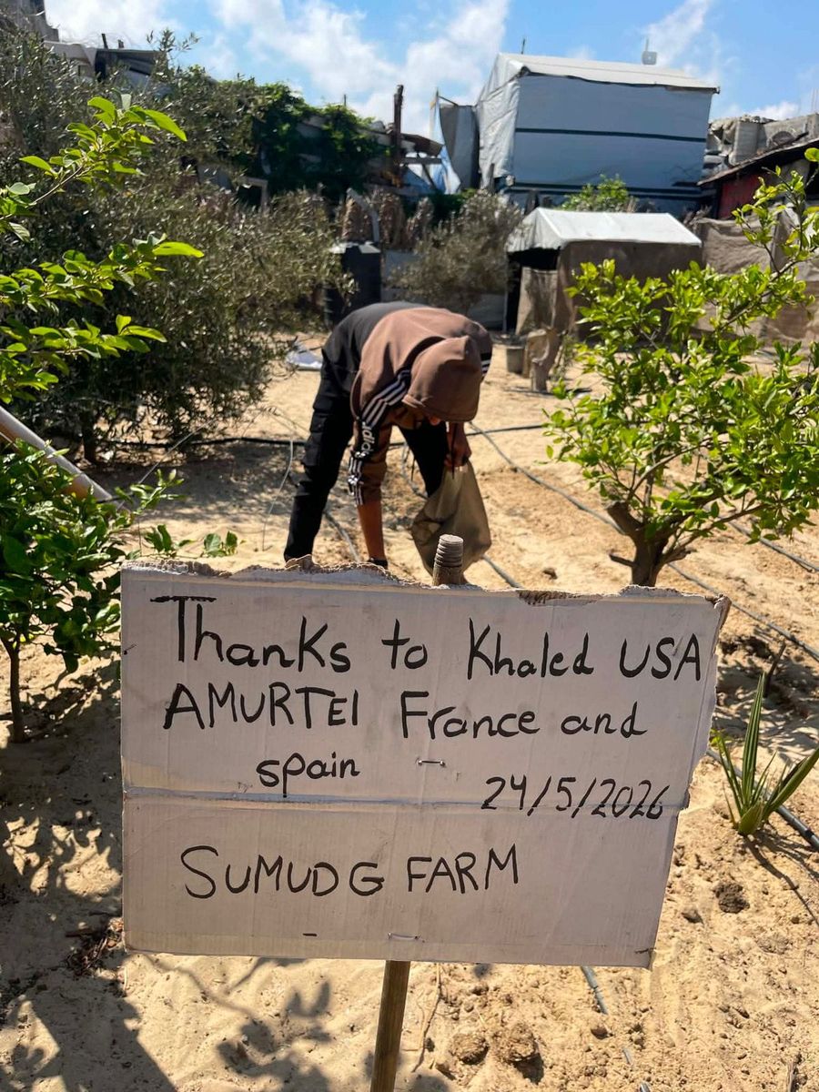 Local farmer working on the Sumud Farm supported by AMURTEL